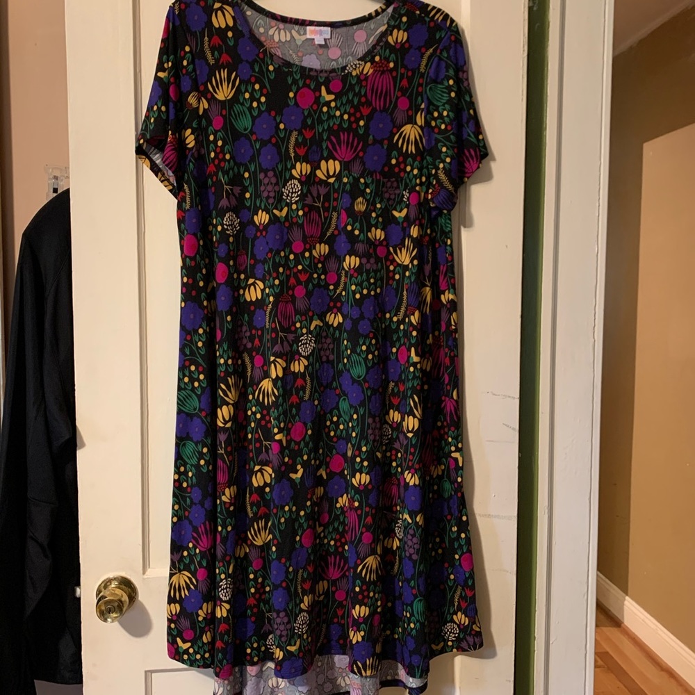 Beautiful Lularoe Carly Dress Floral Design